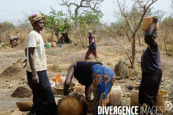 Orpaillage clandestin, Sénégal