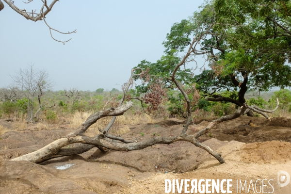 Orpaillage clandestin, Sénégal