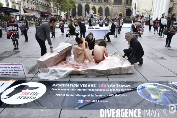 Cause animale : Happening Viande d humain. Animals rights.