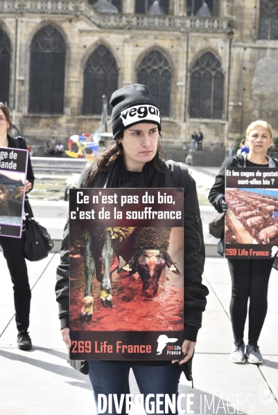 Cause animale : Happening Viande d humain. Animals rights.