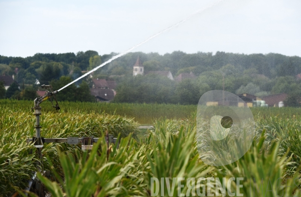 #ValdAmour #Jura #FrancheComté #Photo Entre #Ciel et #Terre