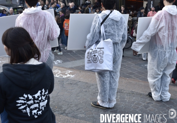 Cause animale : Action nationale poulets de chair #35jours d enfer. Animals rights.