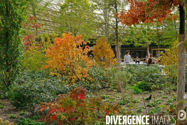 Paris. Illustration.Couleurs d automne au jardin du forum des halles