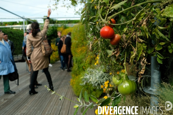 La start up, Sous les fraises, cultive 22 000 plantes comestibles sur le toit du BHV.Portrait de Marie Dehaene, ingenieure agronome chez Sous les fraises.