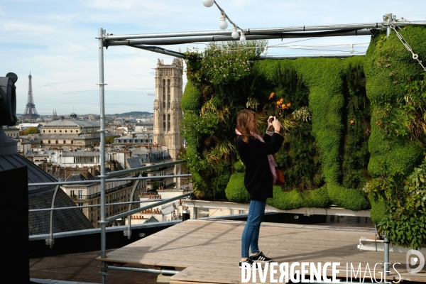 La start up, Sous les fraises, cultive 22 000 plantes comestibles sur le toit du BHV.Portrait de Marie Dehaene, ingenieure agronome chez Sous les fraises.
