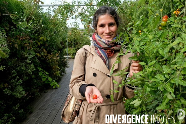 La start up, Sous les fraises, cultive 22 000 plantes comestibles sur le toit du BHV.Portrait de Marie Dehaene, ingenieure agronome chez Sous les fraises.