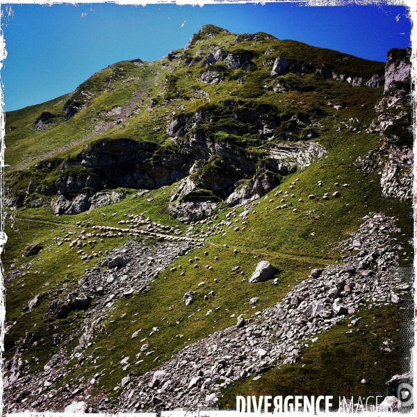 Les pyrenees