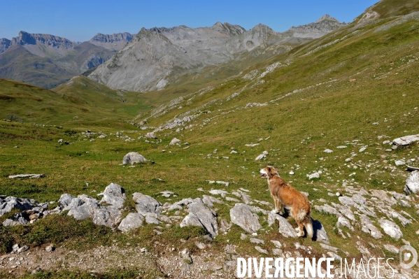 Les pyrenees