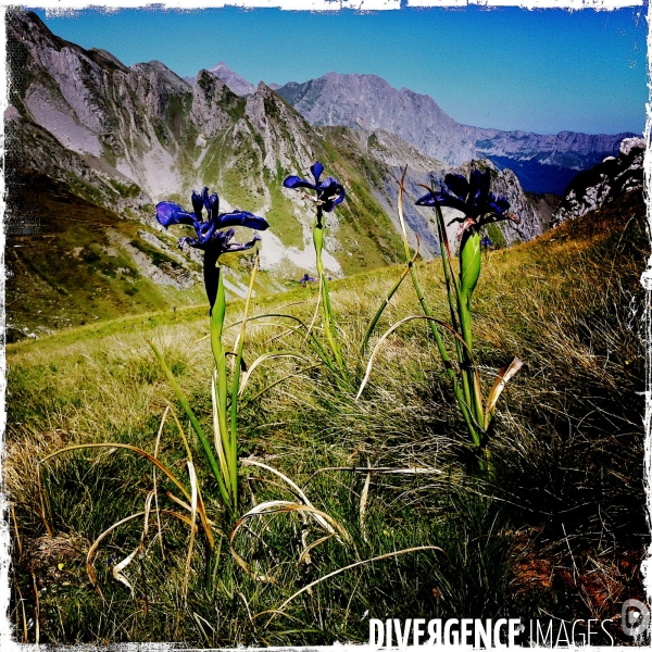 Randonnée dans les Pyrénées