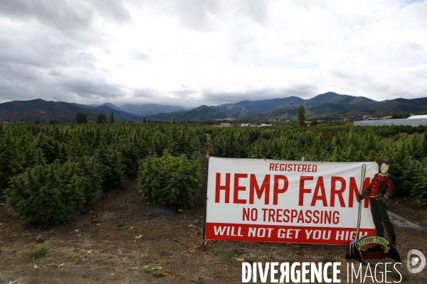 L Oregon a Depenalise le Cannabis depuis 2015