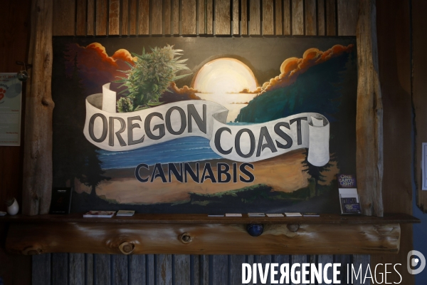 L Oregon a Depenalise le Cannabis depuis 2015