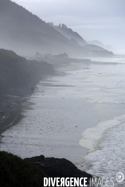 Cape perpetua