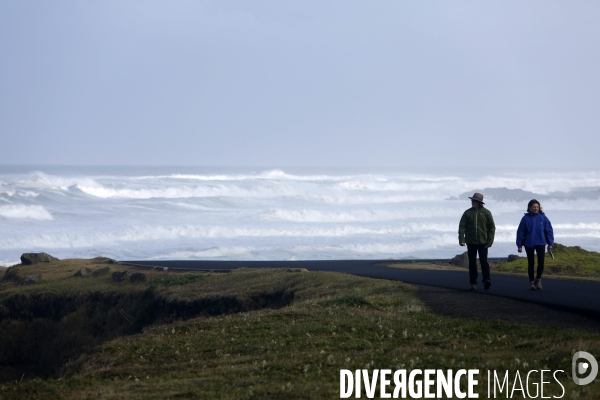 Cape perpetua