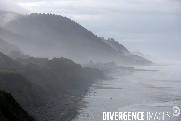 Cape perpetua