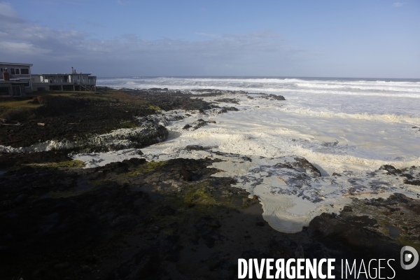 Cape perpetua