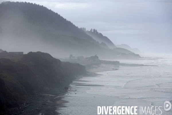 Cape perpetua