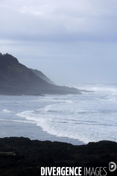 Cape perpetua