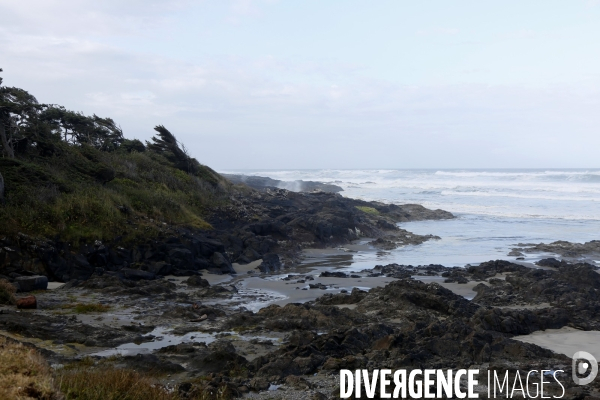 Cape perpetua