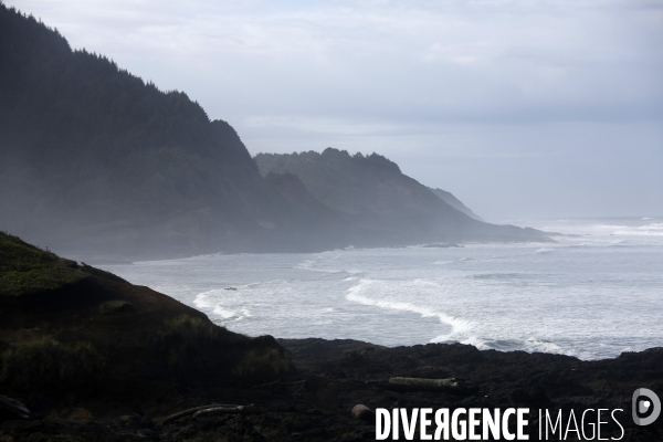 Cape perpetua