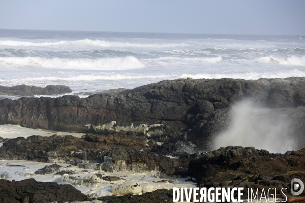 Cape perpetua