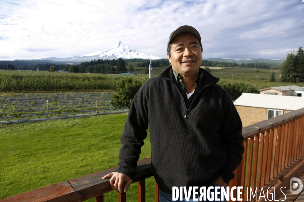 KIYOKAWA Family Orchards