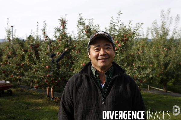 KIYOKAWA Family Orchards