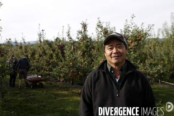 KIYOKAWA Family Orchards