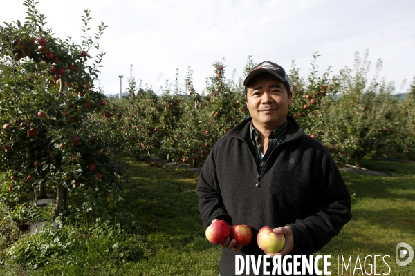 KIYOKAWA Family Orchards