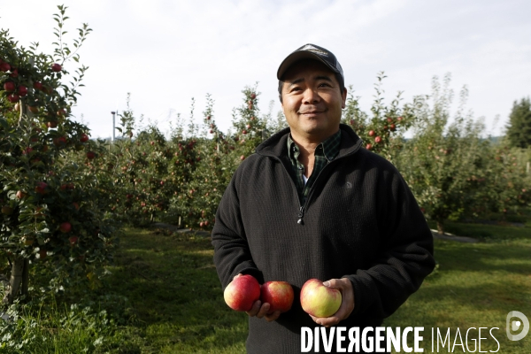 KIYOKAWA Family Orchards