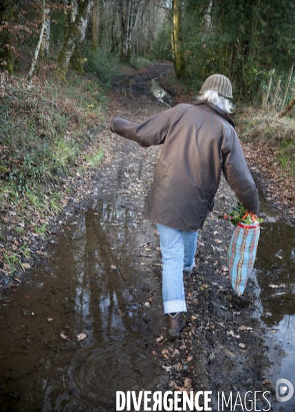 HIVER (diverses ambiances d hiver)