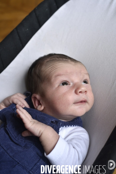 Portraits nourrisson. Newborn.