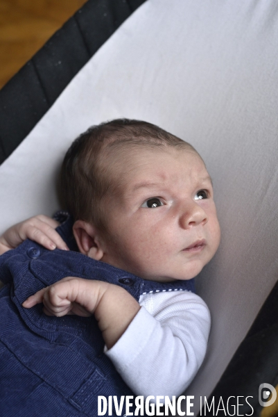 Portraits nourrisson. Newborn.