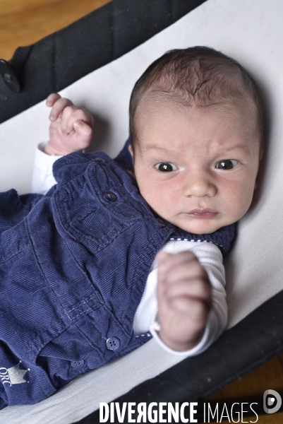 Portraits nourrisson. Newborn.