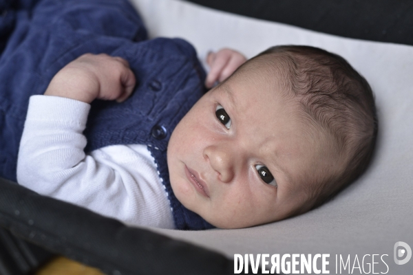 Portraits nourrisson. Newborn.