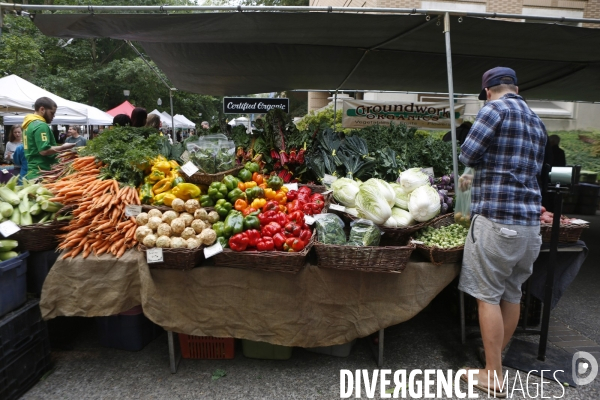 PORTLAND Farmer s Market