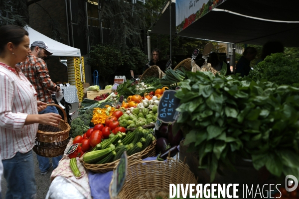 PORTLAND Farmer s Market