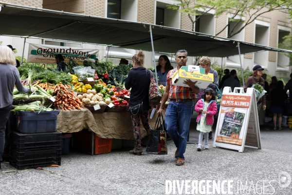 PORTLAND Farmer s Market