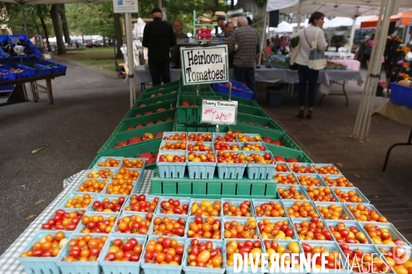 PORTLAND Farmer s Market