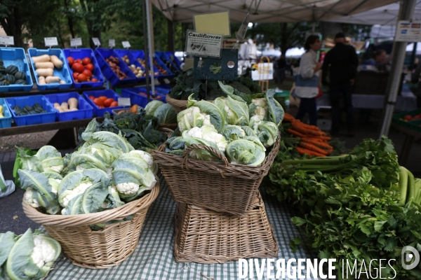 PORTLAND Farmer s Market