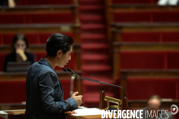 Assemblée nationale. Budget et questions au gouvernement