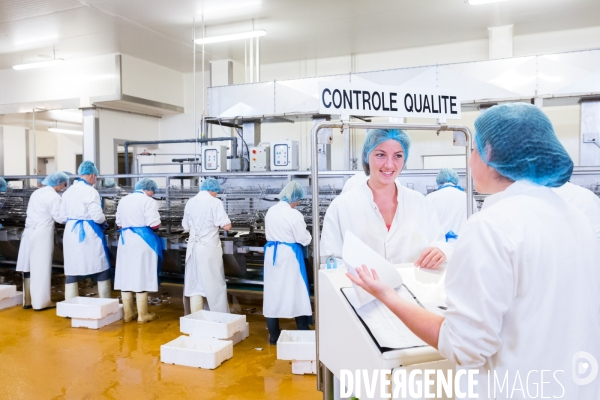 Les métiers de la mer