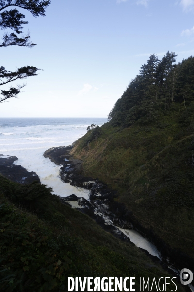 Cape perpetua