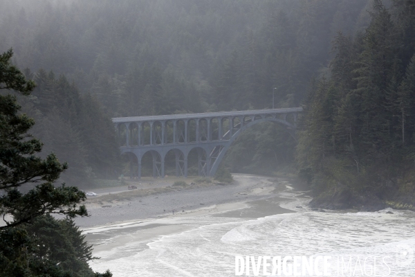 Cape perpetua