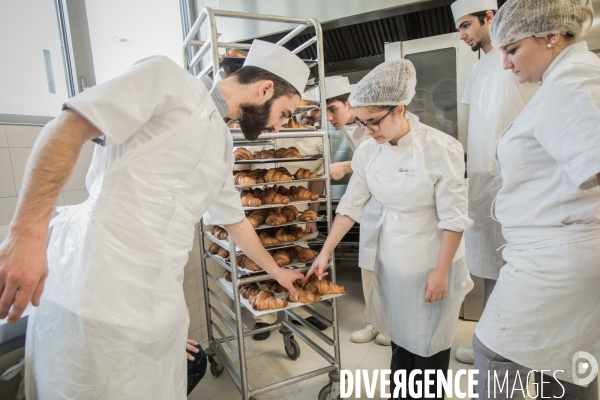 Formation professionnelle en boulangerie chez les Compagnons du Devoir et du Tour de France
