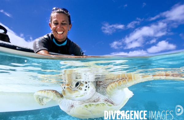 Une tortue verte est relachée dans le lagon