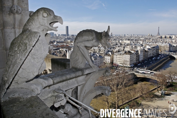 Paris et la Tour Eiffel.