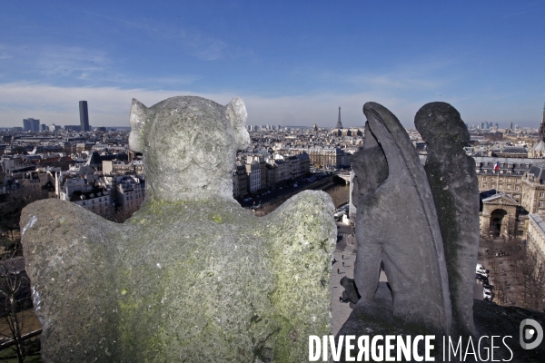 Paris et la Tour Eiffel.