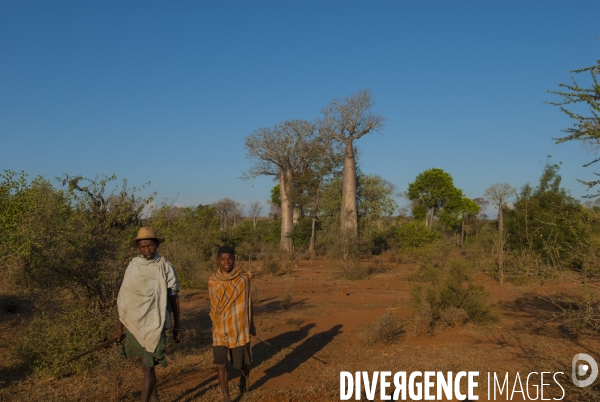 Madagascar - paysans