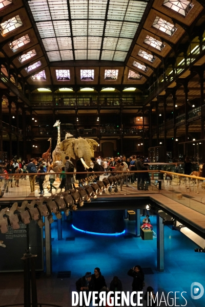 Paris.Au museum d histoire naturelle, la grande galerie de l evolution