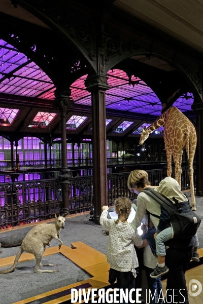 Paris.Au museum d histoire naturelle